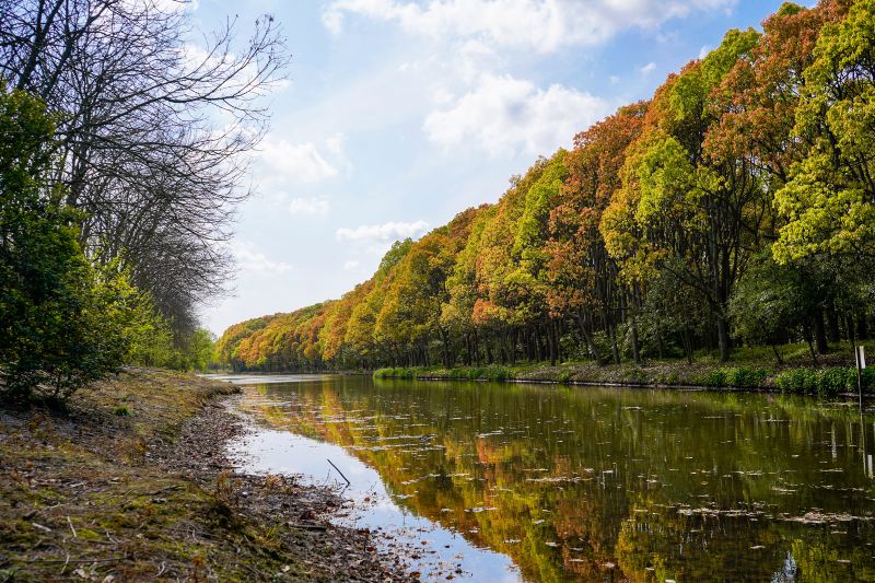 Mianqing Greenbelt, Kangqiao Ecological Park