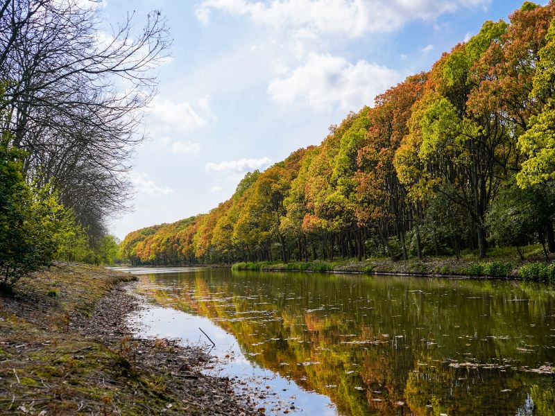 Mianqing Greenbelt, Kangqiao Ecological Park