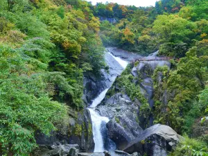 Yunwu Mountain Scenic Area