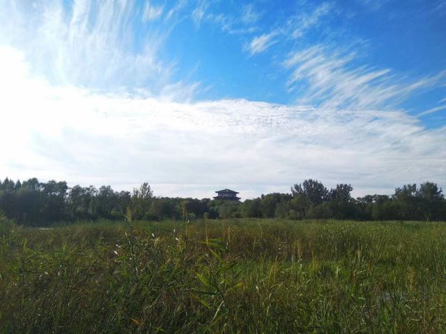 Bailang Oasis Wetland Park