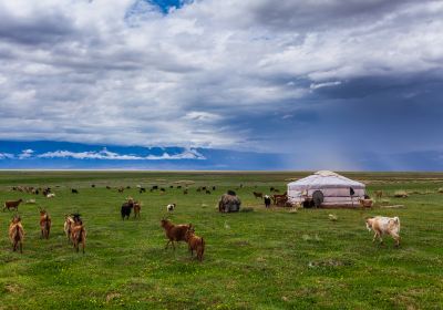 Ulaanbaatar