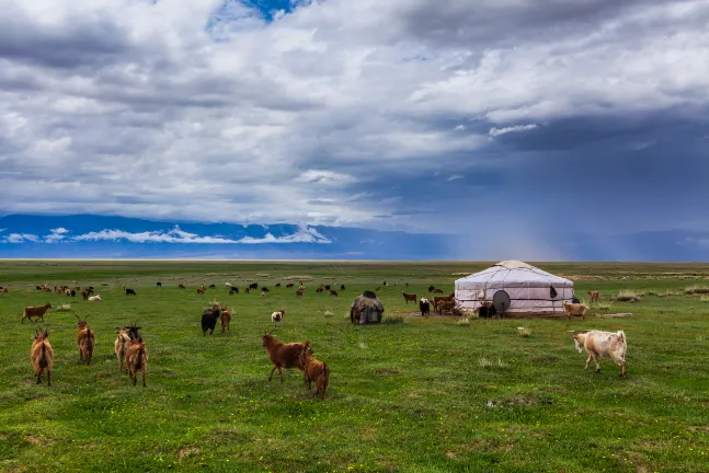 Günstige Flüge von Ulaanbaatar nach Ulgii