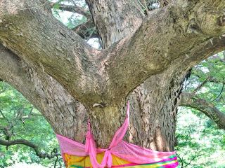 大佳河濱公園10大最佳頂級飯店排名