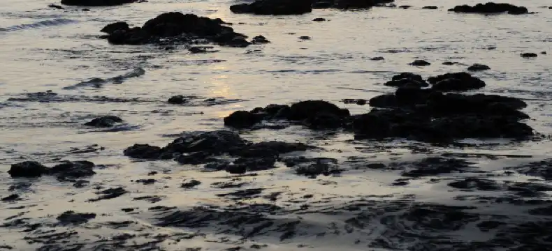 英國懷特島的5 星級飯店