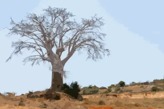 콩고 공화국 트립강력추천 호텔