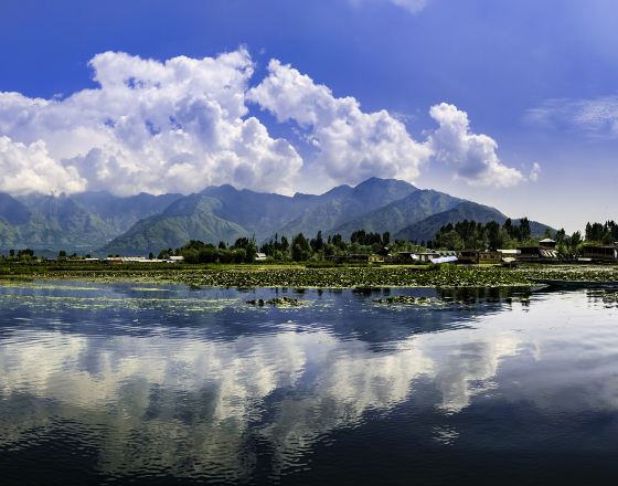 斯利那加 自由行套票