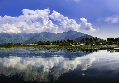 Srinagar