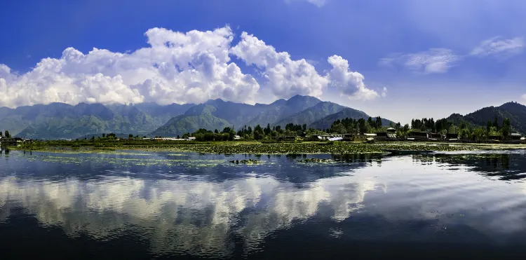 Hotel di Srinagar