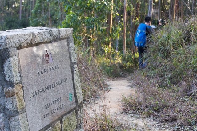 透過青欣山欣賞青馬大橋  特別體驗