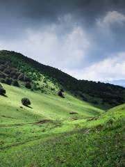 Wulongba Meadow