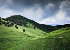 Wulongba Meadow