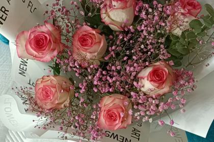 Duohexianbing (huochezhan)