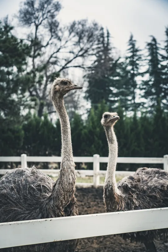 2_太陽葡萄小鎮