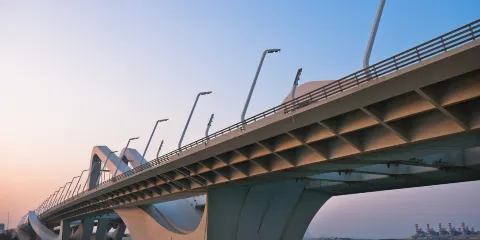 謝赫扎耶德大橋