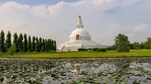 World Peace Pagoda