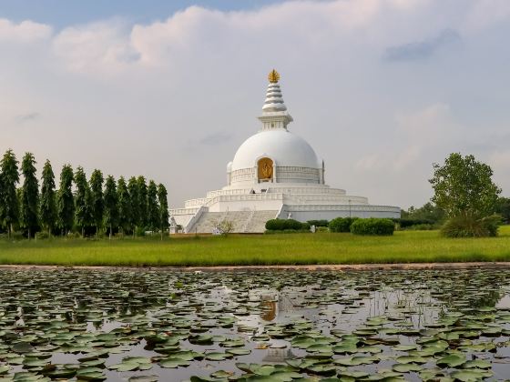 World Peace Pagoda