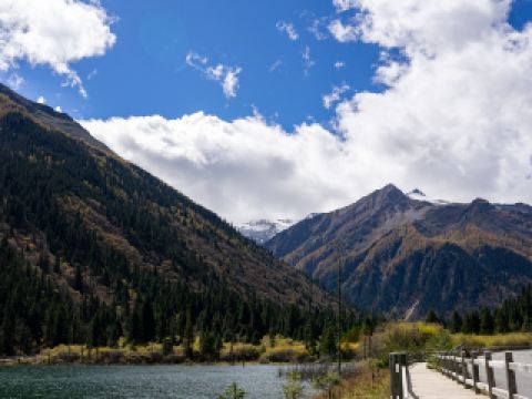 黑水10大最佳酒店排名