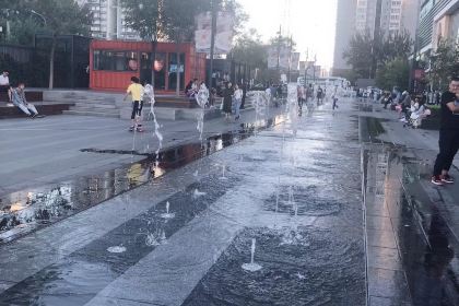 Osteria Buco Bolognese