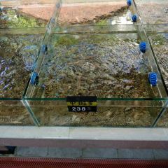 Lailaihaixiancanting|laoxiamenweidao (huochezhan) User Photo