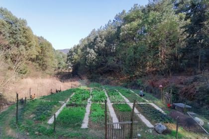 泽居小筑民宿(韶山故居景区店)·独门小院餐厅