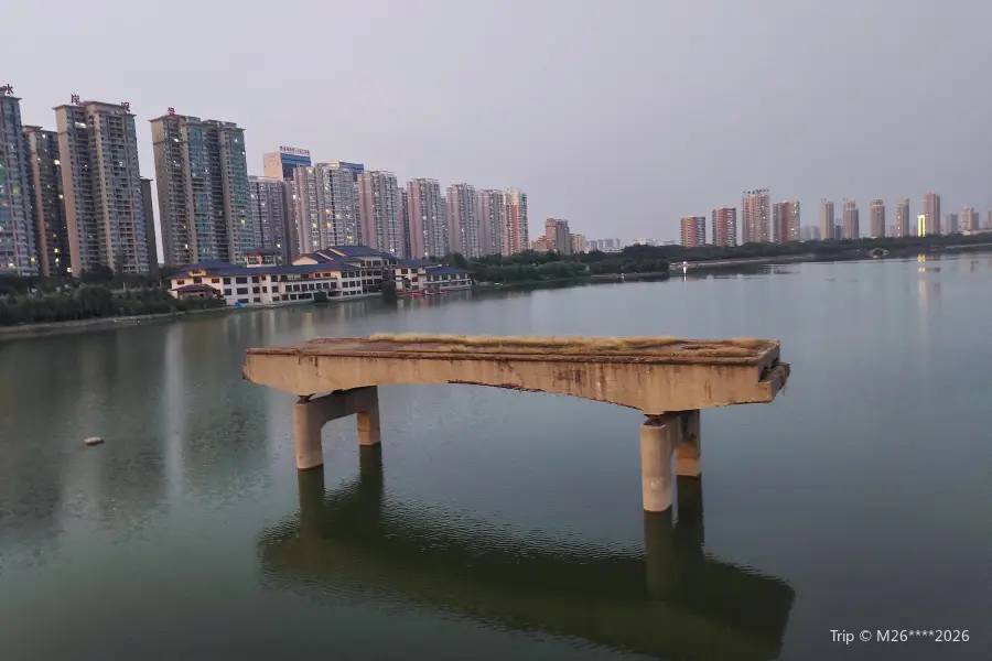 Tianjin Bridge