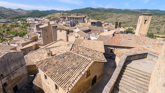 Visita turistica de Sos del Rey Catolico