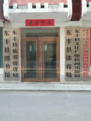 Dongfeng Library