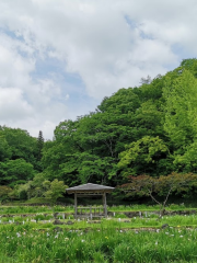 矢野温泉公園四季の裏