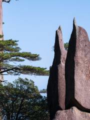 Penguin Offering Peach Scenic Spot, Sanqing Mountain