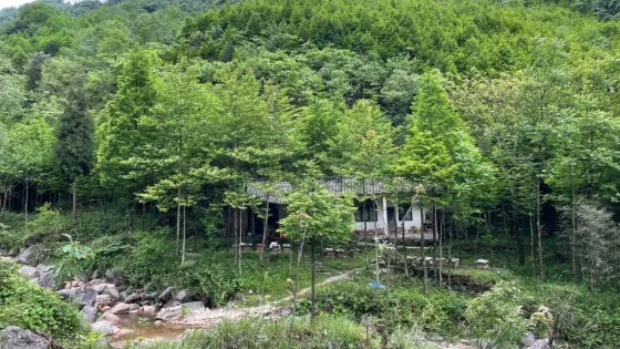 千佛山景區