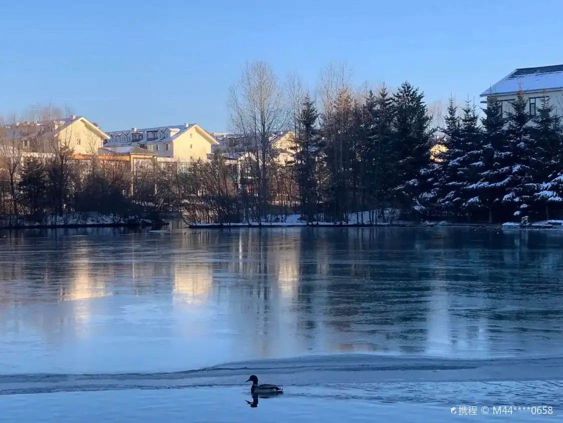 Hotels near Chinese Merganser Park