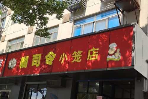 hu si ling xiao long dian