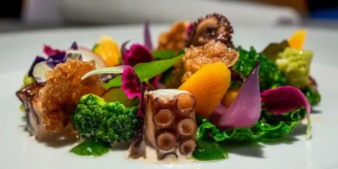 Marina del Nettuno Yachting Club