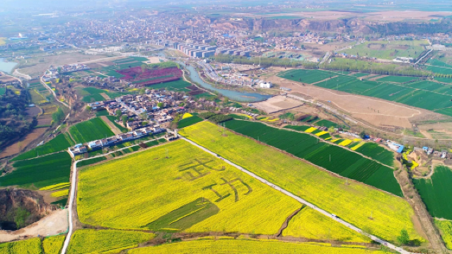 Wugong Ancient City Rapeseed Flower Base