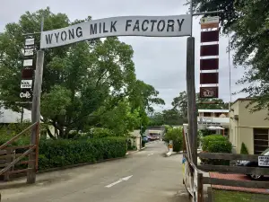 The Wyong Milk Factory