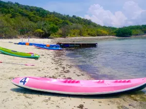 หาดฟรีดอม