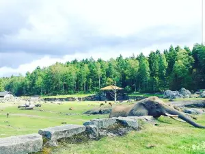 Borås Zoo