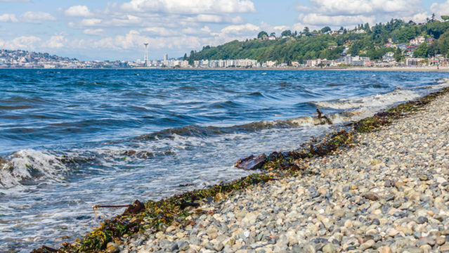 Alki Beach Park