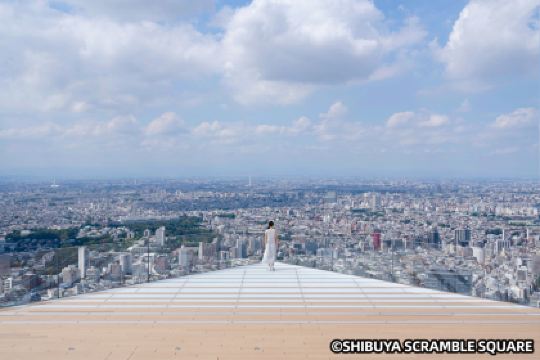 西東京観光ガイド2025年：人気スポット、グルメ、ホテル、天気など