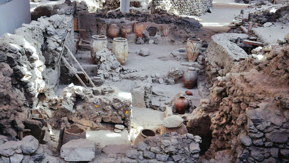 Археологический музей Тиры