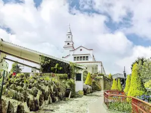 Park and Palace of Monserrate