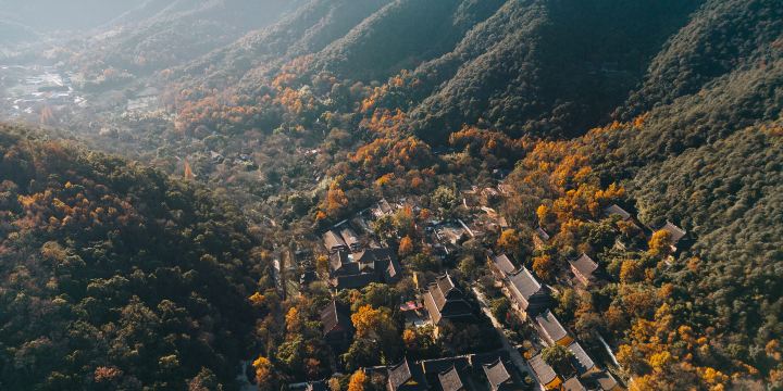 Lingyin Feilai Peak Scenic Area