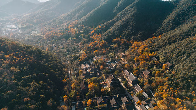 Lingyin Feilai Peak Scenic Area