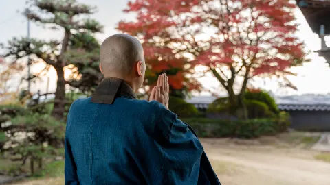 Zen Meditation Experiences in Kyoto attraction in Kyoto