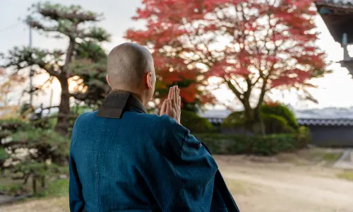 Zen Meditation Experiences in Kyoto