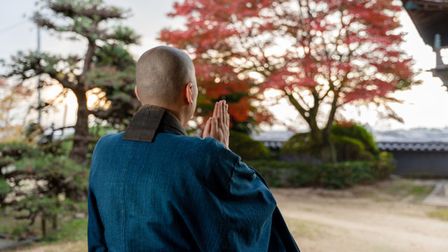 Zen Meditation Experiences in Kyoto