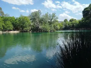 Anna's Lake