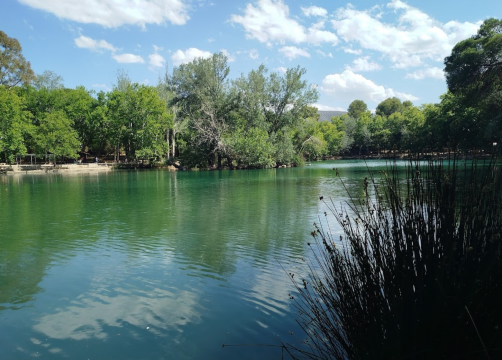 Anna's Lake