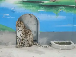 樂陵動物園