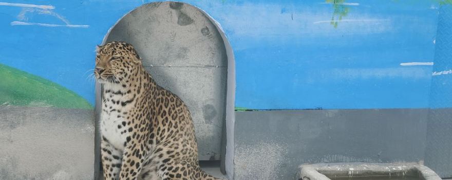 Laoling Zoo